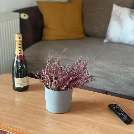 Chestnut Hill- Apartament