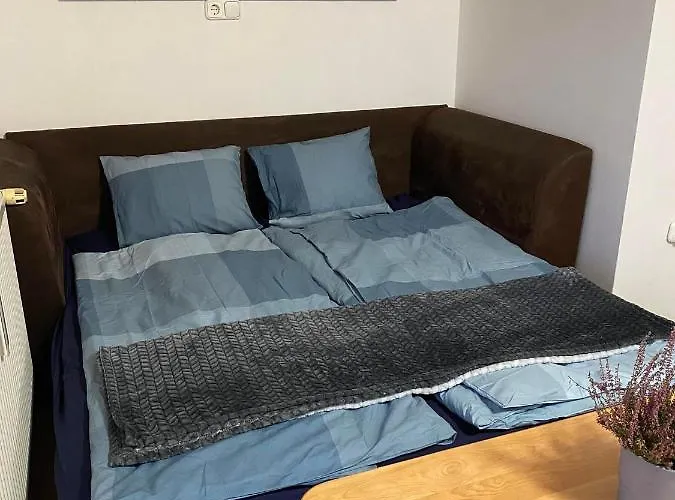 Chestnut Hill- Апартаменты *