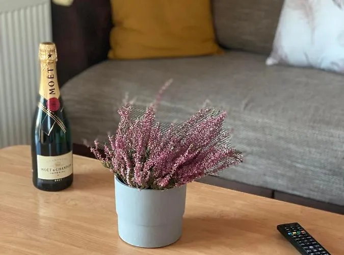 Chestnut Hill- Апартаменты