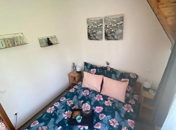 Апартаменты Chestnut Hill- *