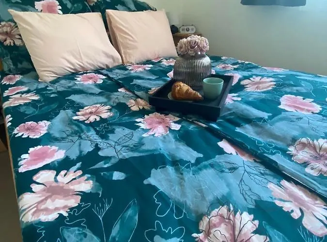 Апартаменты Chestnut Hill- *